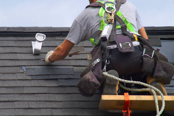 Best New Roof Installation  in Wolf Lake, MI