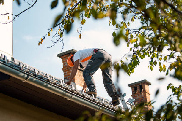 Best New Roof Installation  in Wolf Lake, MI