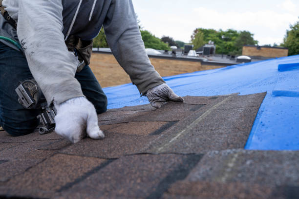 Best Roof Repair Services  in Wolf Lake, MI
