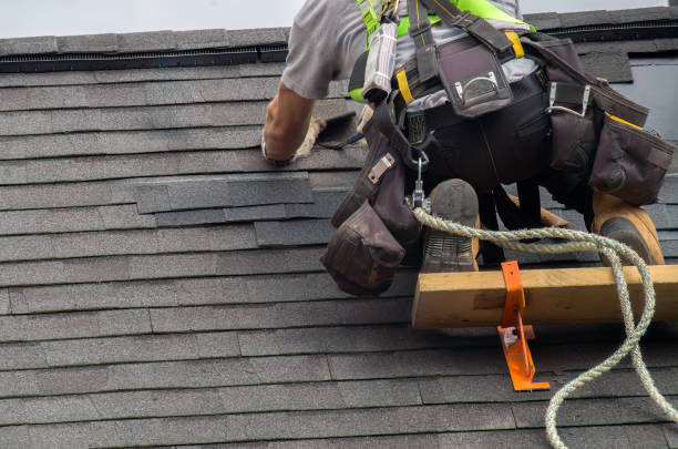 Best Roof Replacement Cost  in Wolf Lake, MI