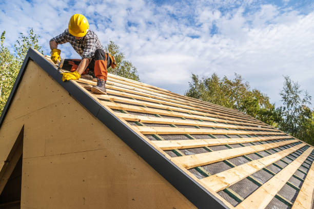 Best Metal Roofing Contractor  in Wolf Lake, MI
