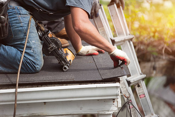 Best Residential Roofing Contractor  in Wolf Lake, MI