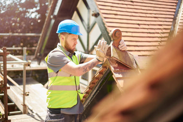 Best Flat Roof Repair Services  in Wolf Lake, MI
