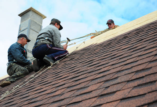 Wolf Lake, MI Roofing Contractor Company