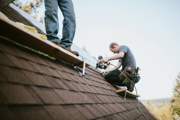 Best Roofing Contractor Near Me  in Wolf Lake, MI