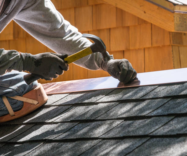 Best Shingle Roofing Installation  in Wolf Lake, MI